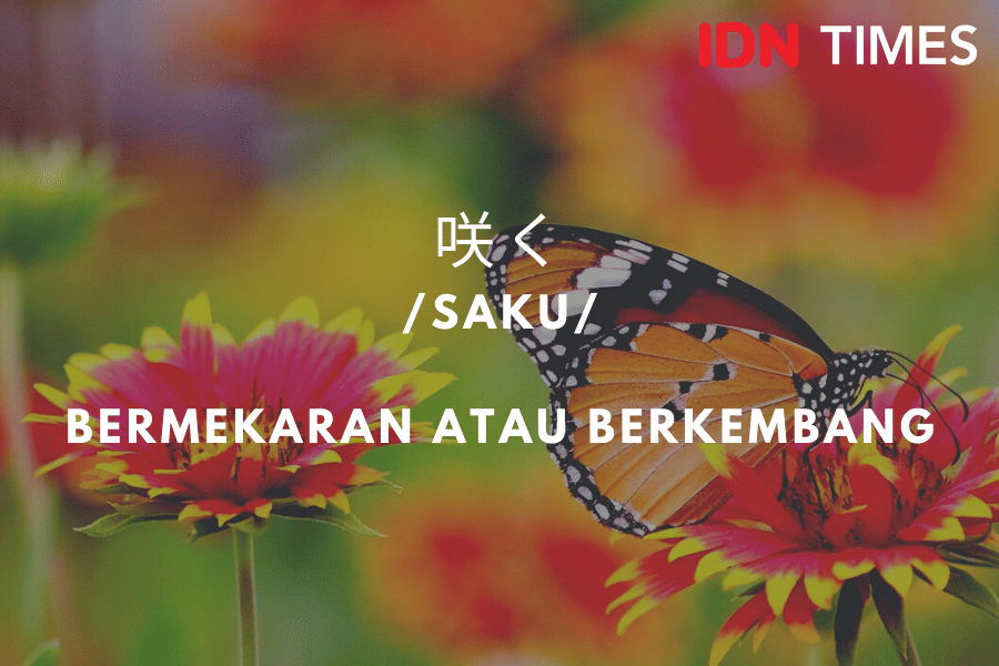 IDN Times/M. Tarmizi Murdianto