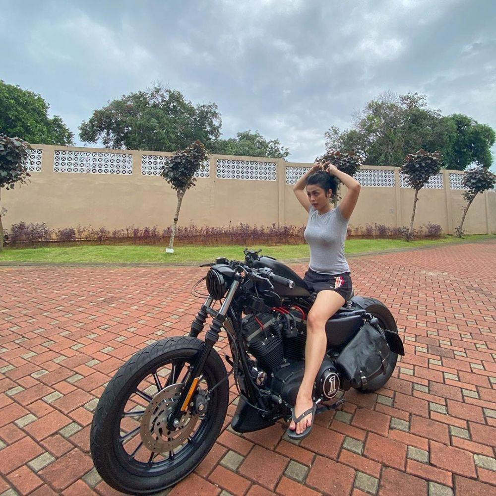 instagram.com/selvikitty