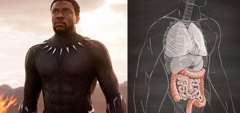 Kenali 6 Fakta Kanker Usus Besar, Penyebab Chadwick Boseman Meninggal
