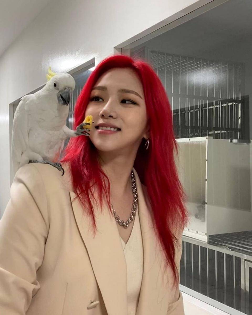 Instagram.com/da.ni_jung