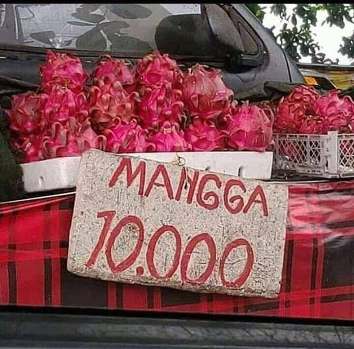 Instagram.com/explorememe.id