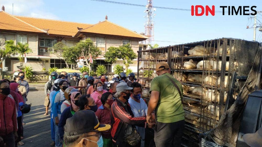 Suasana pembagian ayam gratis di Tabanan (IDN Times/Wira Sanjiwani)