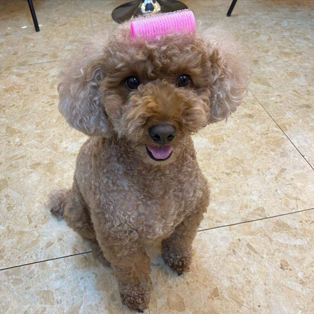 instagram.com/oohsehun