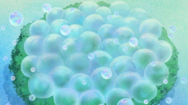 Toei Animation/One Piece