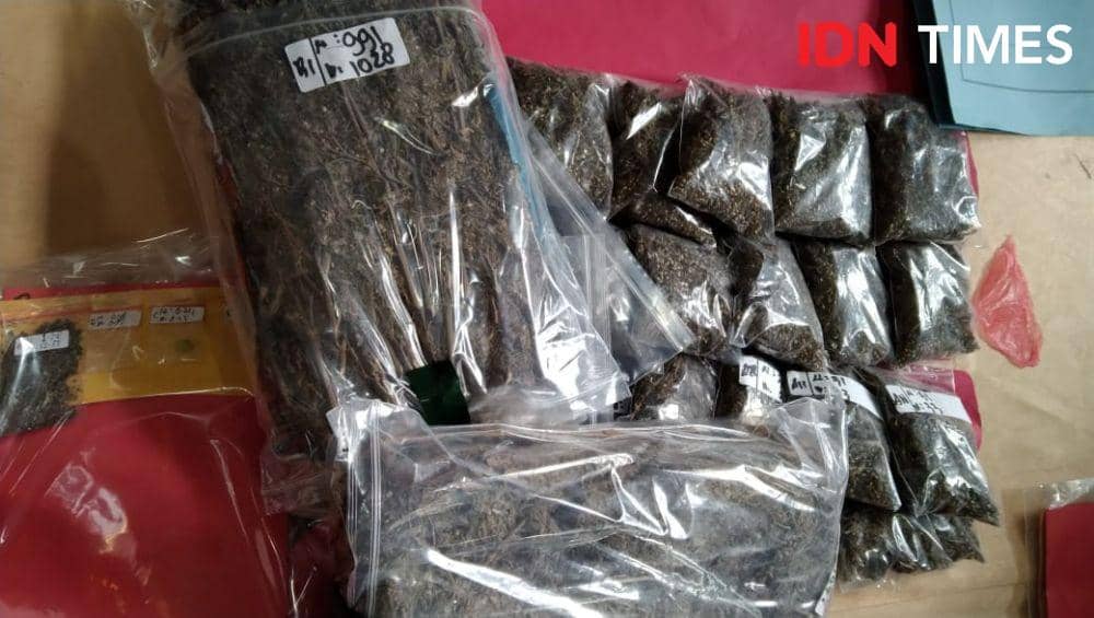 Waspada! Polresta Denpasar Amankan Pecahan Biskuit Mengandung Narkoba