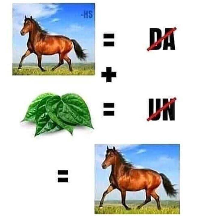 Instagram.com/meme_ngakak.receh