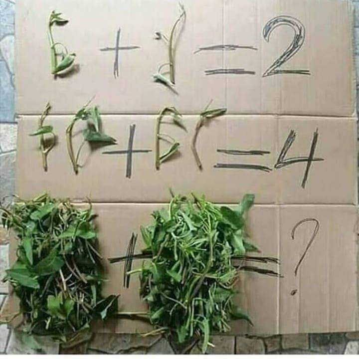 Instagram.com/meme.wkwk