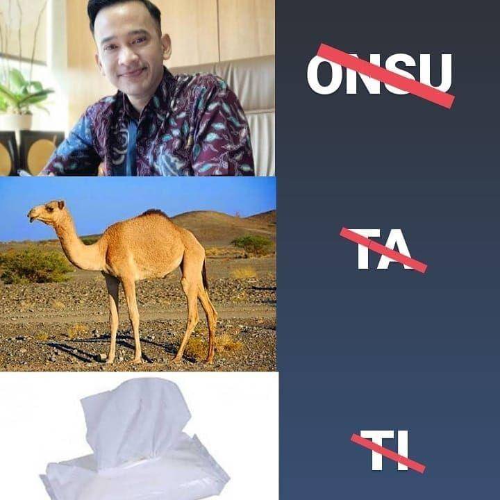 Instagram.com/sejiwatinja