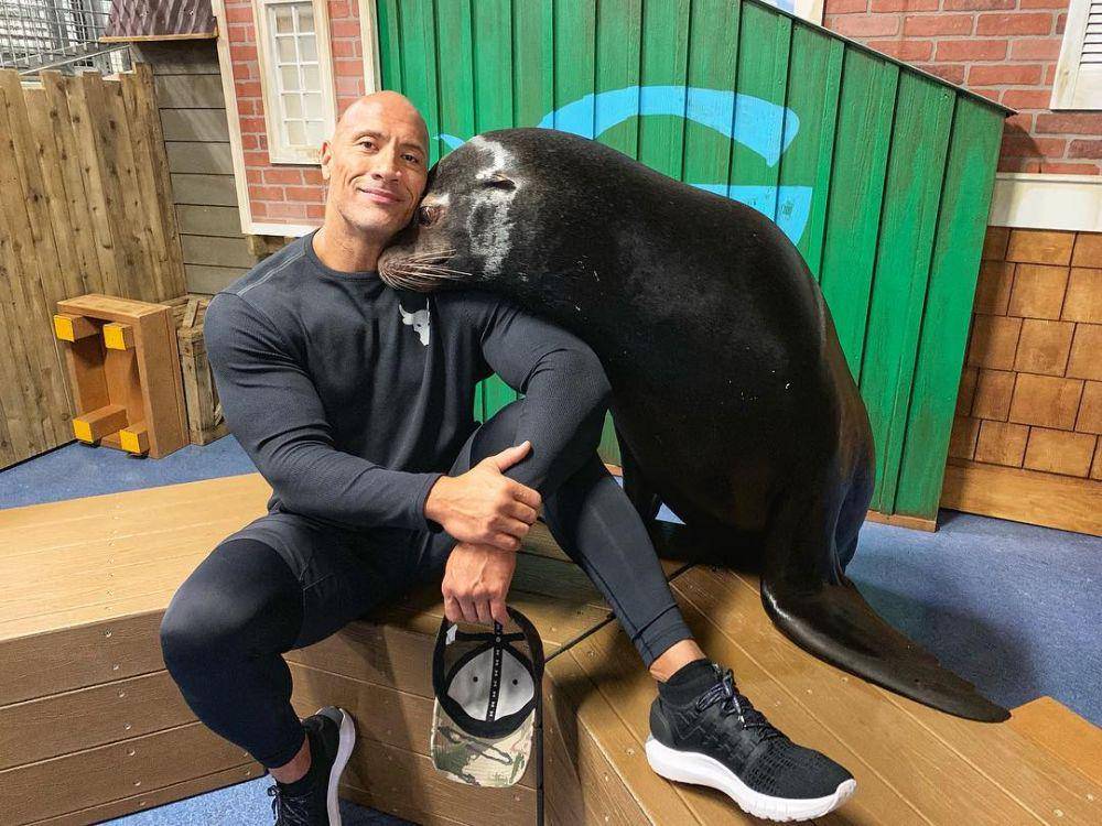 instagram.com/therock