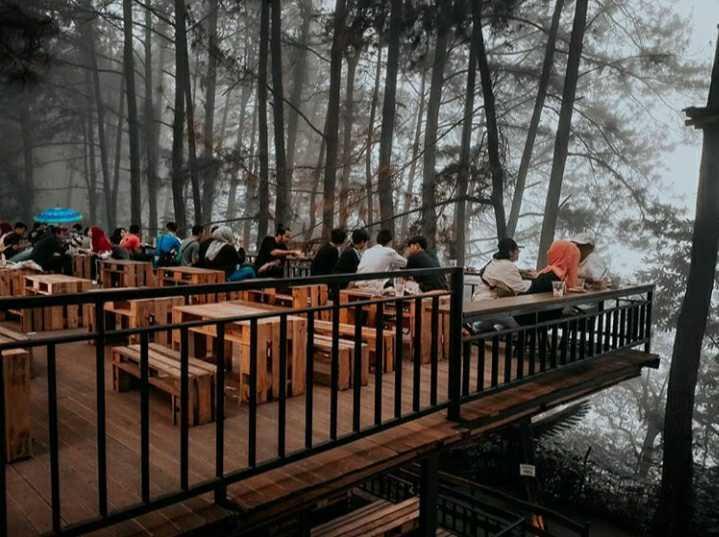 5 Kafe yang Berada di Tengah Hutan Pinus, Sejuk dan Estetik!