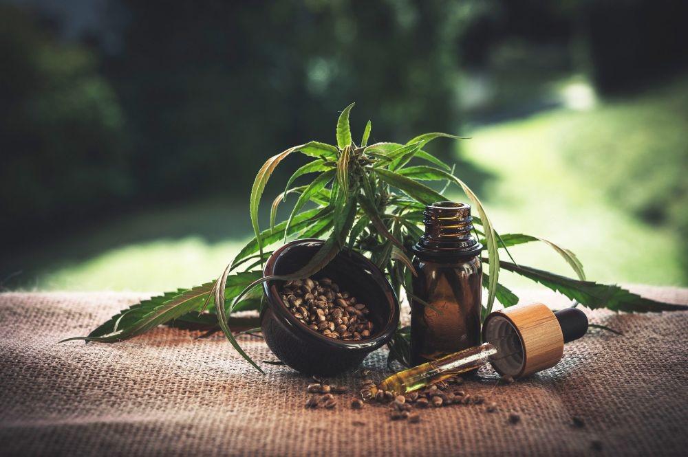 Meski Dilarang, Ganja Terbukti dapat Menyembukan 5 Penyakit Ini