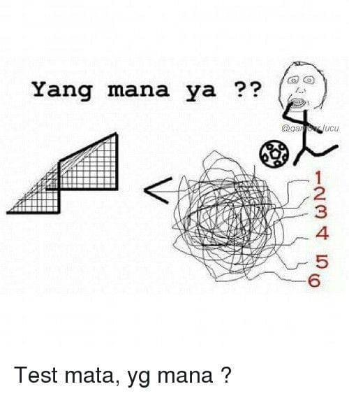 instagram.com/gambar.lucu