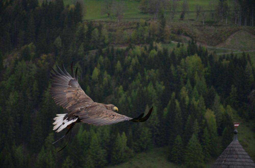Pixabay.com/Klappe