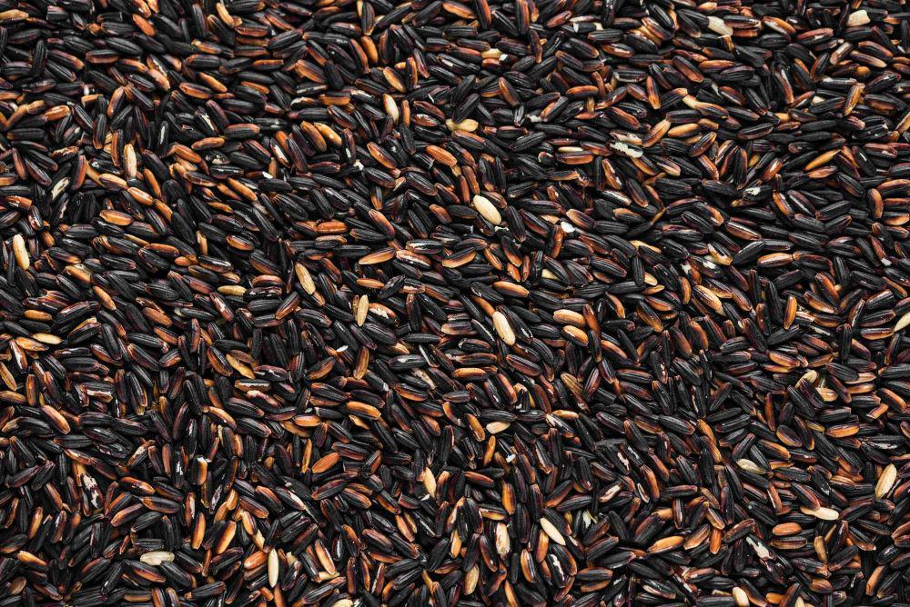 5 manfaat beras hitam untuk kesehatan