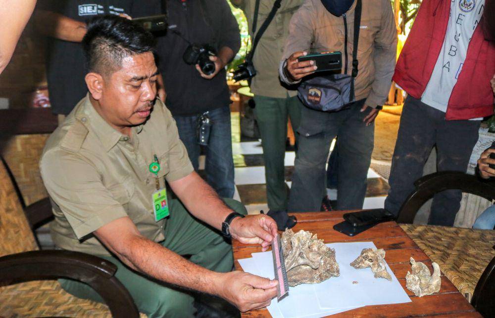 Perburuan hewan masih terjadi di kawasan Pulau Sempu. IDN Times/ Alfi Ramadana