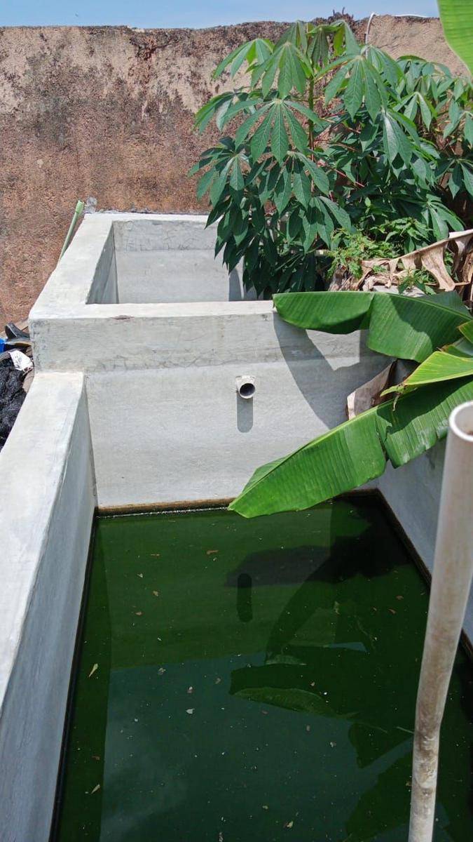 Kolam ikan lele di Kampung Investasi Hati (Dok.IDN Times/Istimewa)