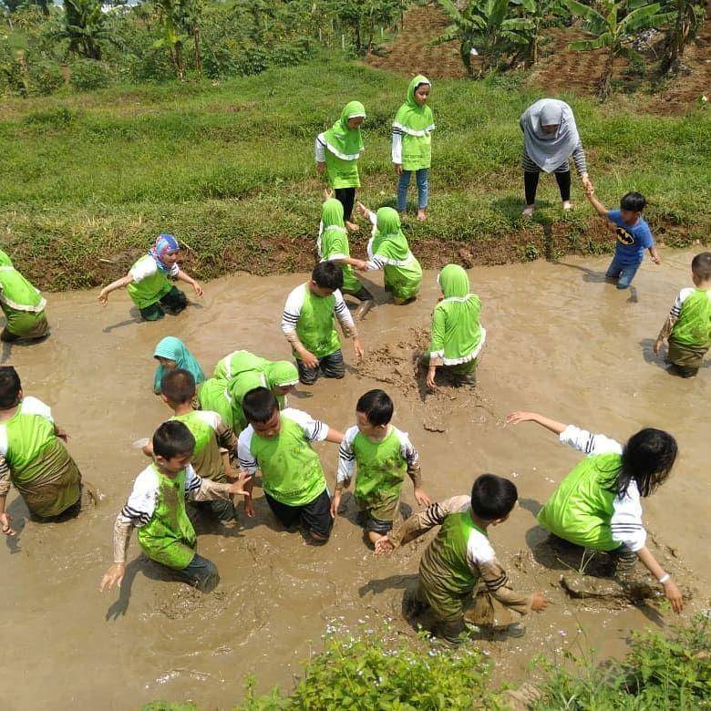instagram.com/greenplantindonesia
