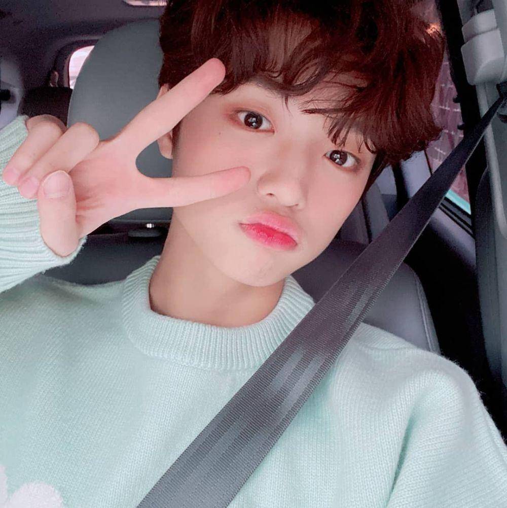 dok. DSP Media