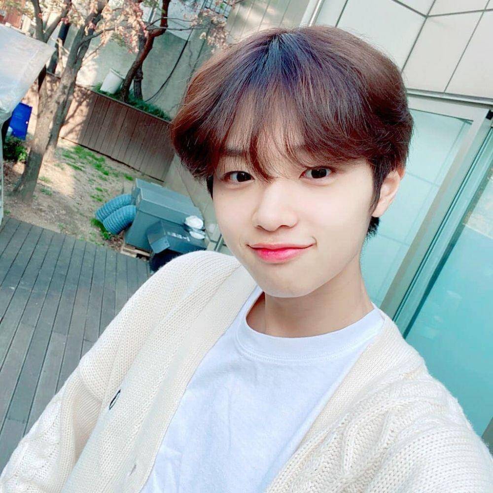 dok. DSP Media