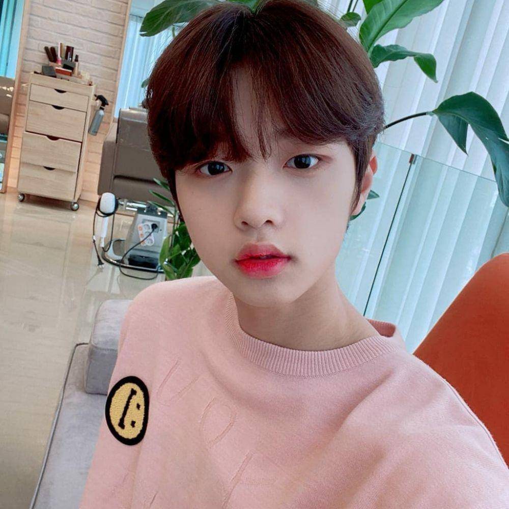 dok. DSP Media