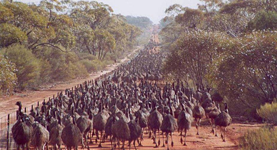 australiangeographic.com