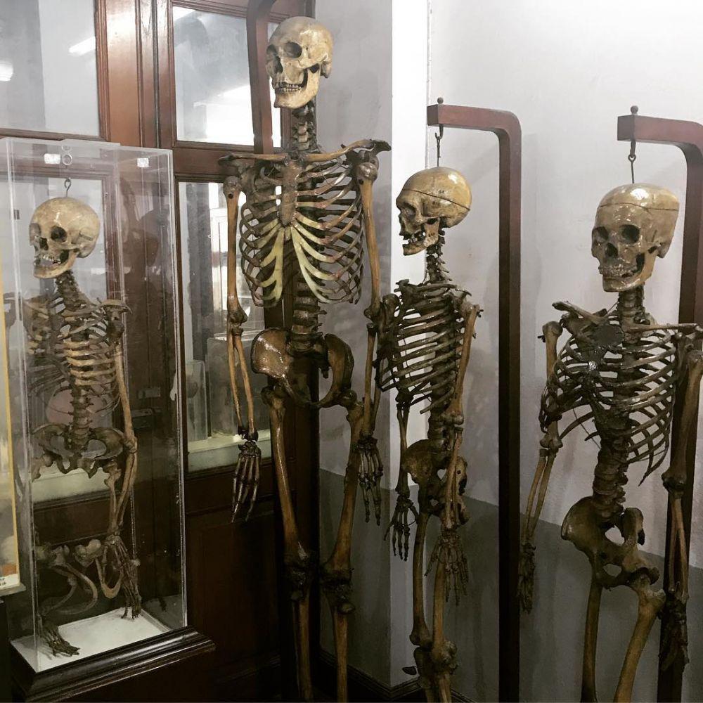 instagram.com/aparatmati