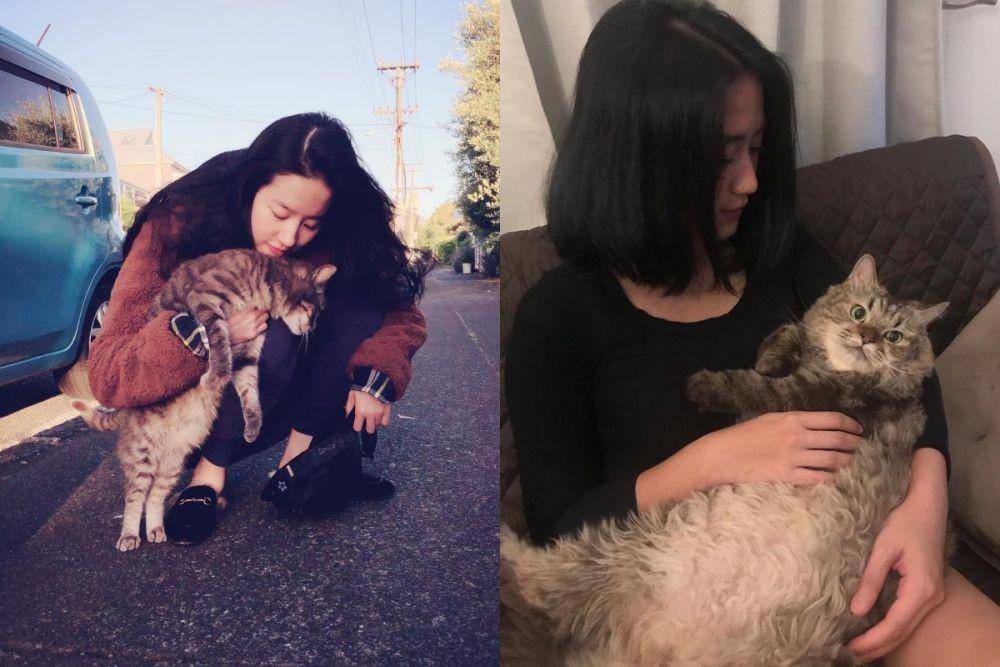 Instagram.com/yifei_cc | Instagram.com/renattamoeloek