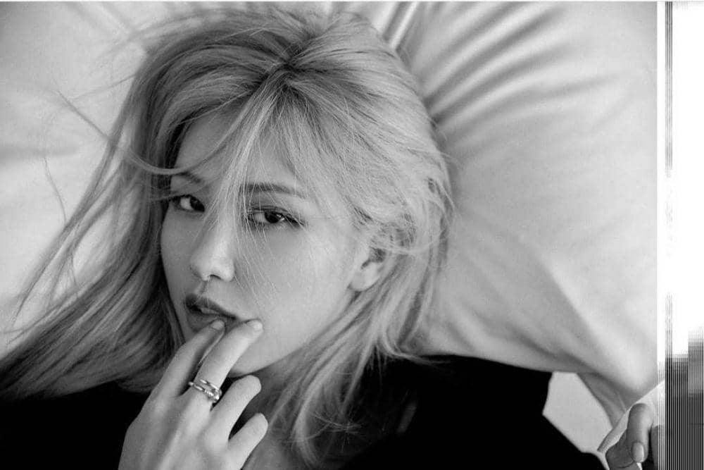 Instagram.com/roses_are_rosie