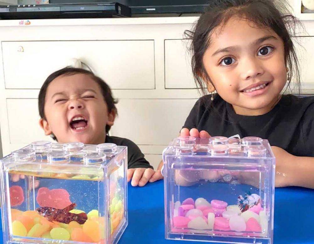 Instagram.com/reisabrotoasmoro