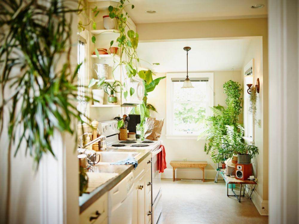 architecturaldigest.com