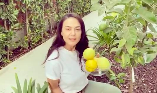 instagram.com/realpz