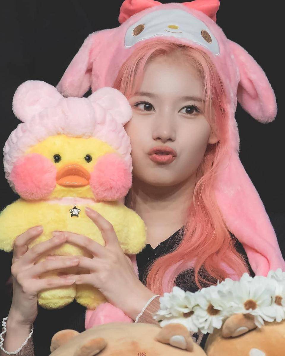 instagram.com/sana.twice.kr