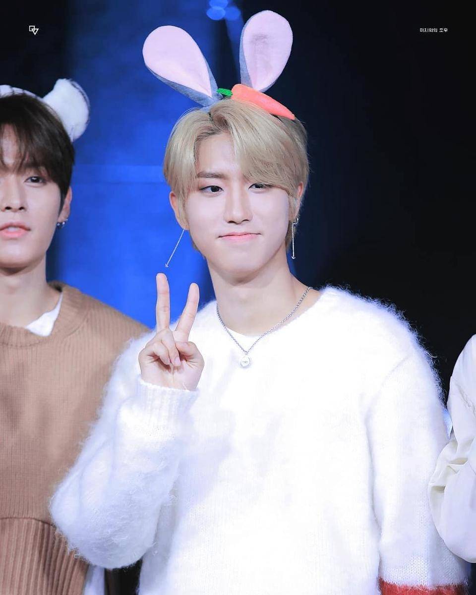 instagram.com/han.straykids