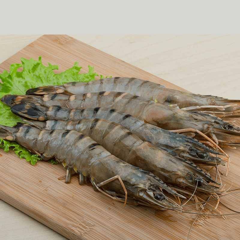 freshcatch.ae