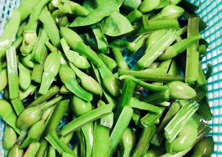 dapur-elma.web.app
