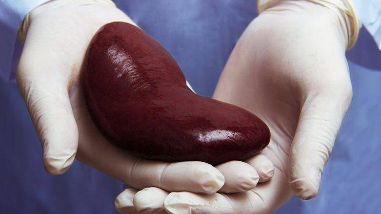 columbiasurgery.org