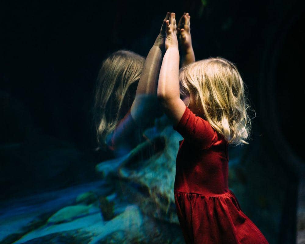 Unsplash/Bekah Russom