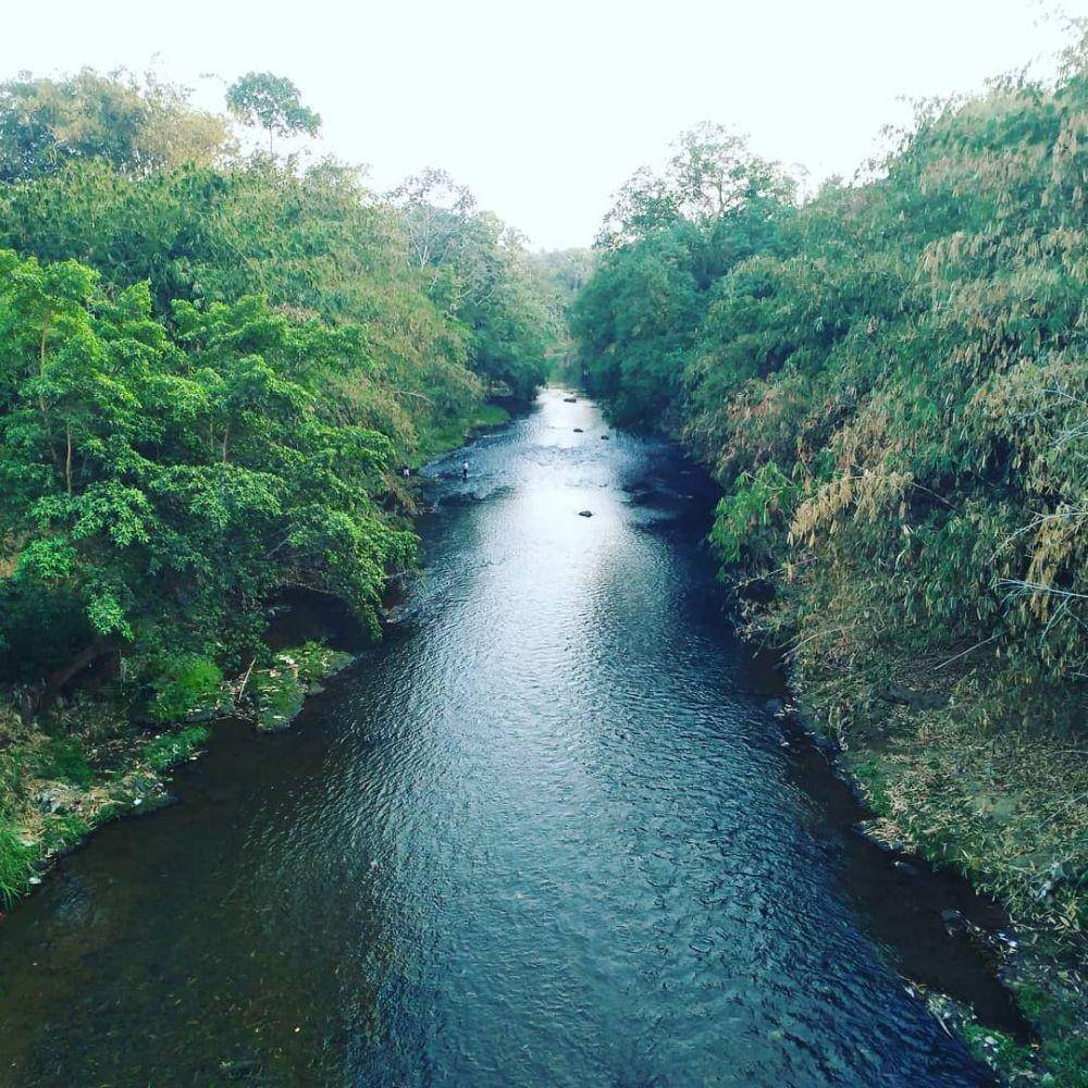 instagram.com/wahyudixxi