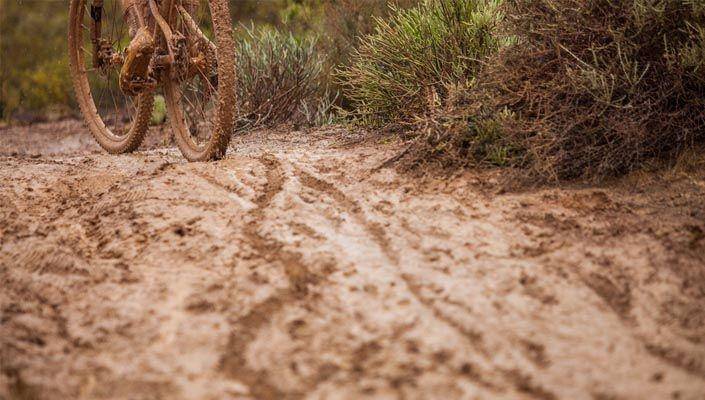 bikeroar.com