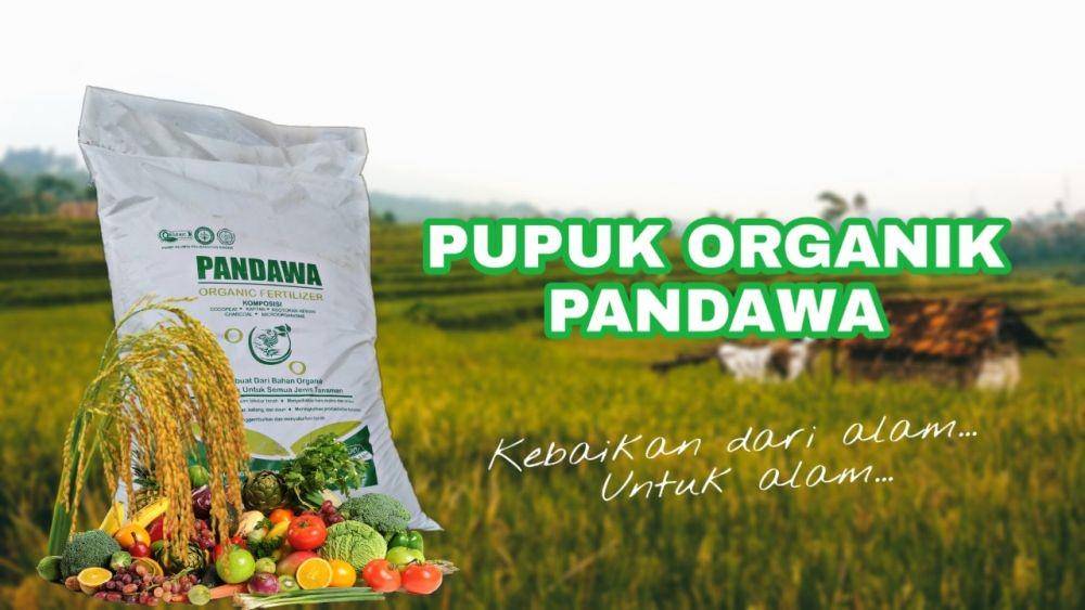 IDN Times/Kementan
