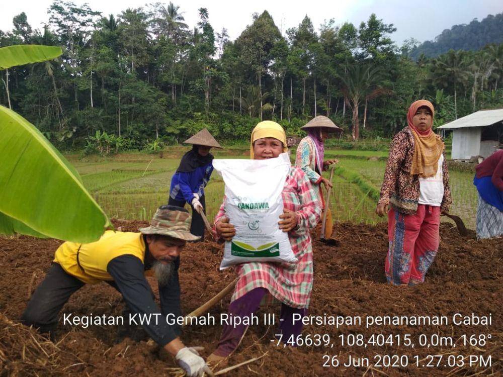 IDN Times/Kementan