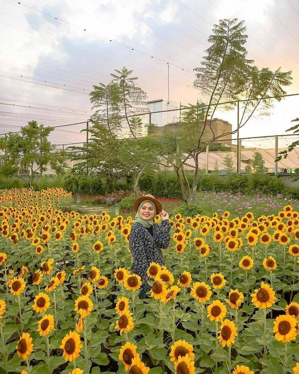 instagram.com/wisata_oke
