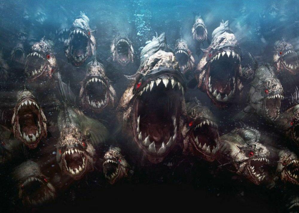 Ini Gambaran Ilmiah Rasanya Masuk ke Kolam Penuh Piranha