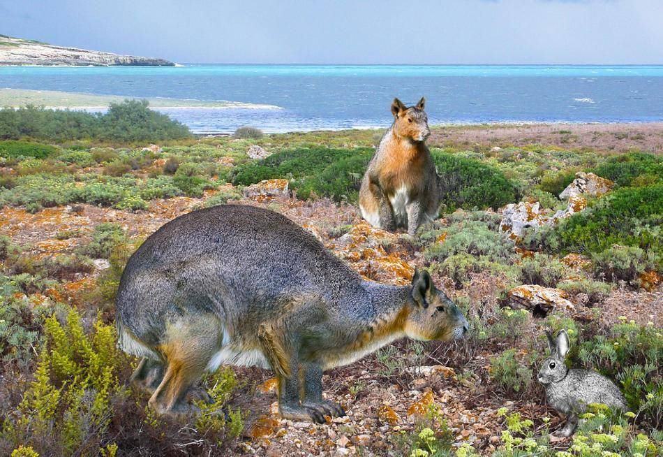 nationalgeographic.com