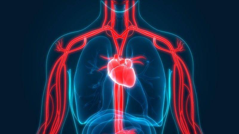 belmarrahealth.com