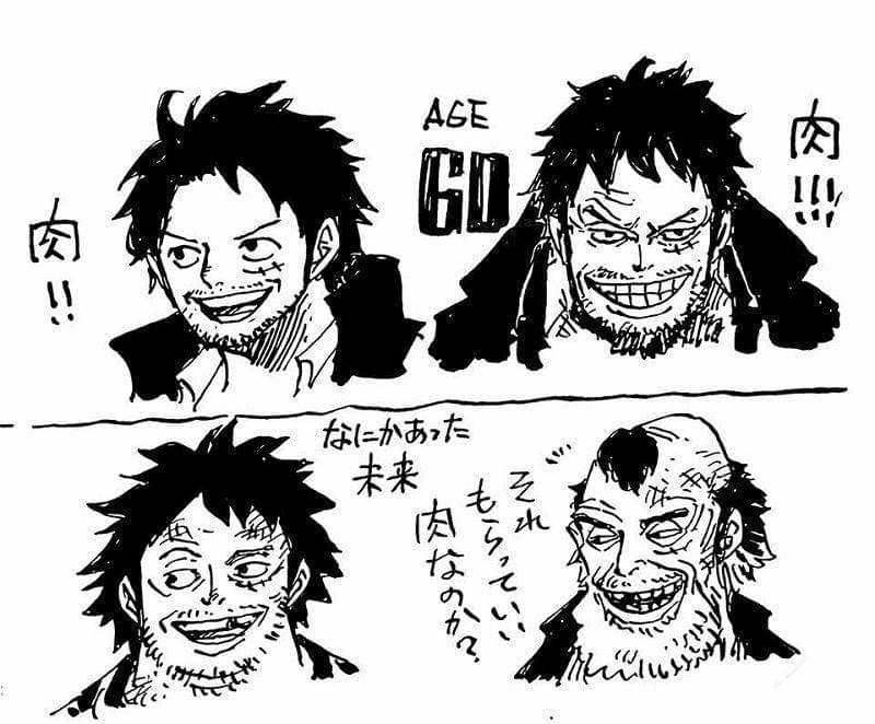 Shueisha/One Piece