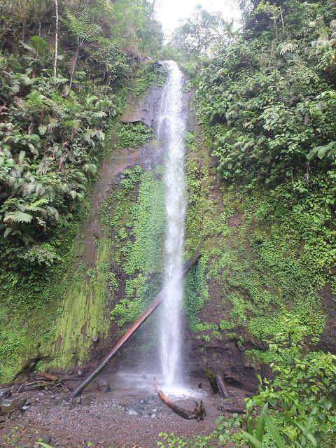 curugdigarut2016.blogspot.com