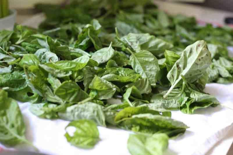 thekitchengarten.com
