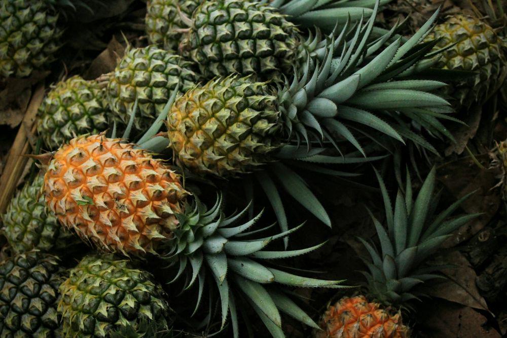 5 Cara Memilih Buah Nanas yang Manis, Pahami biar Gak Salah Beli