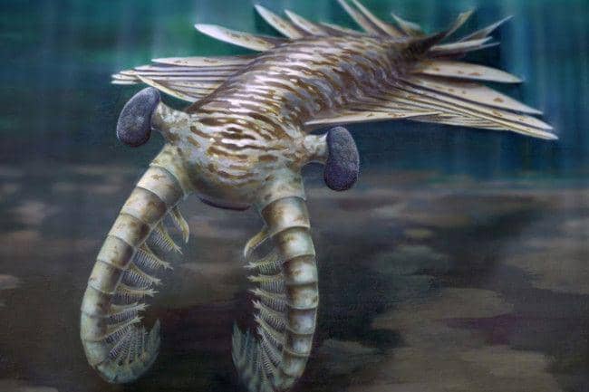 discovermagazine.com